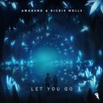Cover: AWAKEND &amp; Rickie Nolls - Let You Go