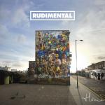 Cover: Rudimental - Waiting All Night