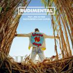 Cover: Rudimental feat. Jess Glynne & Macklemore & Dan Caplen - These Days