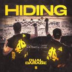 Cover: Damage - Hiding