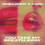Cover: Sneijder &amp; Cari - You Take My Breath Away