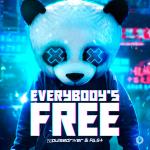 Cover: Pulsedriver &amp; PaSt - Everybody's Free