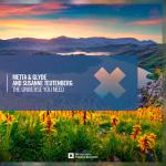 Cover: Metta &amp; Glyde and Susanne Teutenberg - The Universe You Need