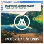 Cover: Starpicker &amp; Denise Rivera - Can't Live Without You