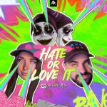 Cover: Mish &amp; Krowdexx - Hate Or Love It