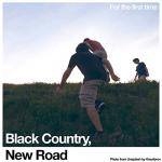 Cover: Black Country, New Road - Sunglasses