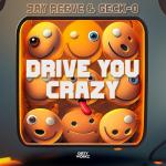 Cover: Jay Reeve &amp; Geck-o - Drive You Crazy