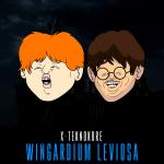 Cover:  - Wingardium Leviosa
