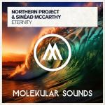 Cover: Northern Project &amp; Sin&eacute;ad McCarthy - Eternity