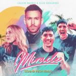 Cover: Ellie Goulding - Miracle (Sound Rush Remix)