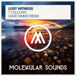 Cover: Lost Witness - 7 Colours (David Nimmo Remix)