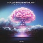 Cover: Polygrams & Megalight - Mind Fly
