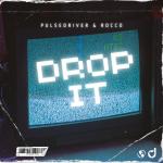 Cover: Pulsedriver &amp; Rocco - Drop It