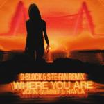 Cover: John Summit &amp; Hayla - Where You Are (D-Block & S-te-Fan Remix)