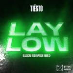 Cover: Tiesto - Lay Low (Radical Redemption Remix)