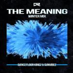 Cover: Dancefloor Kingz & Sunvibez - The Meaning (Winter Edit)