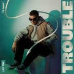 Cover: hazel - Trouble