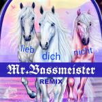 Cover: Mr. Bassmeister - Lieb Dich Nicht (Mr. Bassmeister Remix)