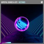 Cover: Hopeful Echoes &amp; D72 - Destined