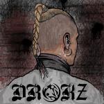 Cover: Drokz - The Survivor