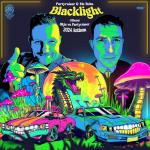 Cover: Partyraiser & MC Robs - Blacklight (Official BKJN vs. Partyraiser 2024 Anthem)