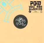 Cover: PQM - You Are Sleeping