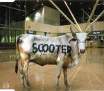 Cover: Scooter - Behind The Cow