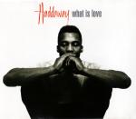 Cover: Haddaway - What is Love