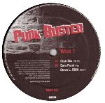 Cover: Punk Buster - What? (Club Mix)