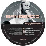 Cover: Bangbros - Banging In Dreamworld