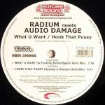 Cover: Radium Meets Audio Damage - What U Want (Is Fucking Bondi Beach Girls Mix)