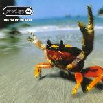 Cover: The Prodigy - Diesel Power