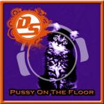 Cover: D&S - Pussy On The Floor (Springstil Remix)