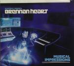 Cover: Brennan Heart - Rockstar DJ