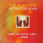Cover: Berri - The Sunshine After The Rain