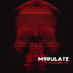 Cover: Modulate - Skullfuck