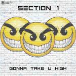 Cover: Section 1 - Gonna Take U High