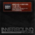 Cover: Adam Bass &amp; Adam Ross - In Time Again