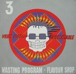 Cover: Wasting Program - You Have Nothing Left But Destruction