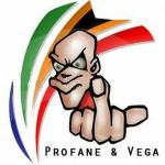 Cover: Profane & Vega - Flags (World Cup 2010)