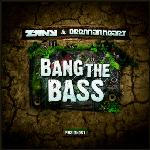 Cover: Brennan Heart - Bang The Bass