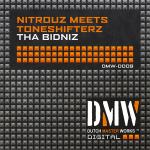 Cover: NitrouZ - Tha BiDniZ