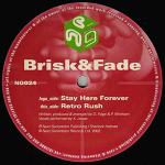 Cover: Brisk - Stay Here Forever