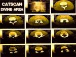 Cover: Catscan - Divine Area