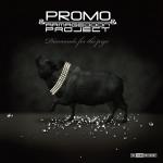 Cover: Dj Promo &amp;amp; Armageddon Project - Poisoned From Within