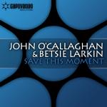 Cover: Betsie Larkin - Save This Moment (Gareth Emery Remix)