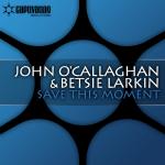 Cover: Betsie larkin - Save This Moment (Gareth Emery Remix)