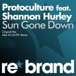 Cover: Protoculture feat. Shannon Hurley - Sun Gone Down (Original Mix)