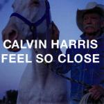 Cover: Calvin - Feel So Close (Extended Mix)