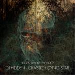 Cover: Dj Hidden - Dying Star